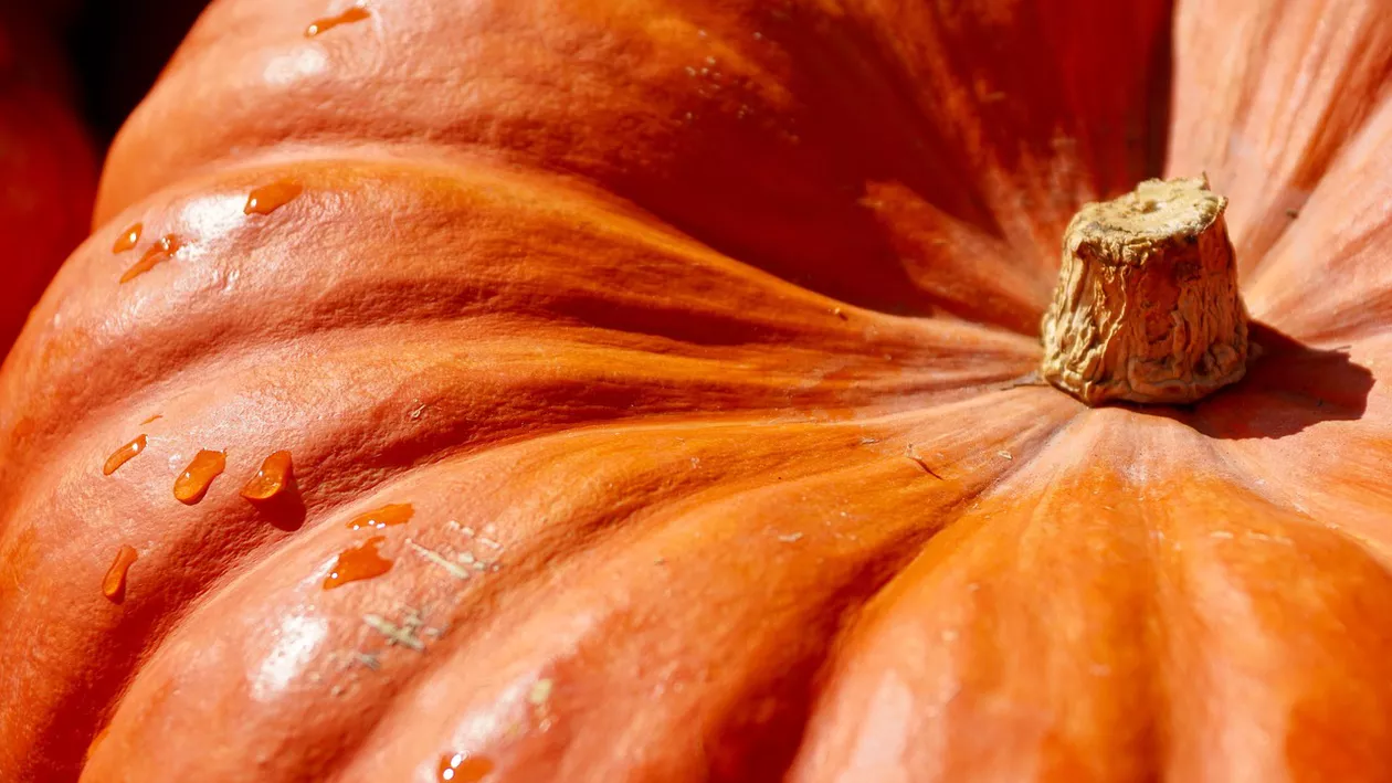 Ce aliment recomandă nutriționiștii pentru toamna ce urmează. Poate aduce beneficii majore pentru sănătate