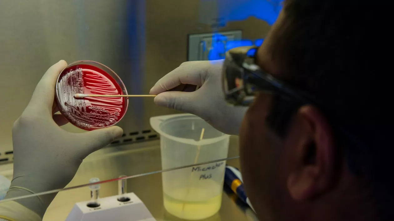 Medicul Carmen Dorobăț, despre bacteria mâncătoare de carne, care ucide în 48 de ore: Vorbim despre o formă gravă de infecție. Ce determină apariția sau agravarea acestei boli (VIDEO)