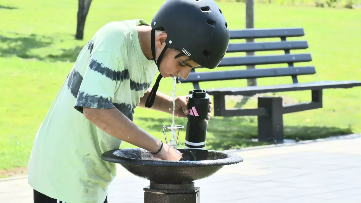 Harta cișmelelor cu apă potabilă din Sectorul 6