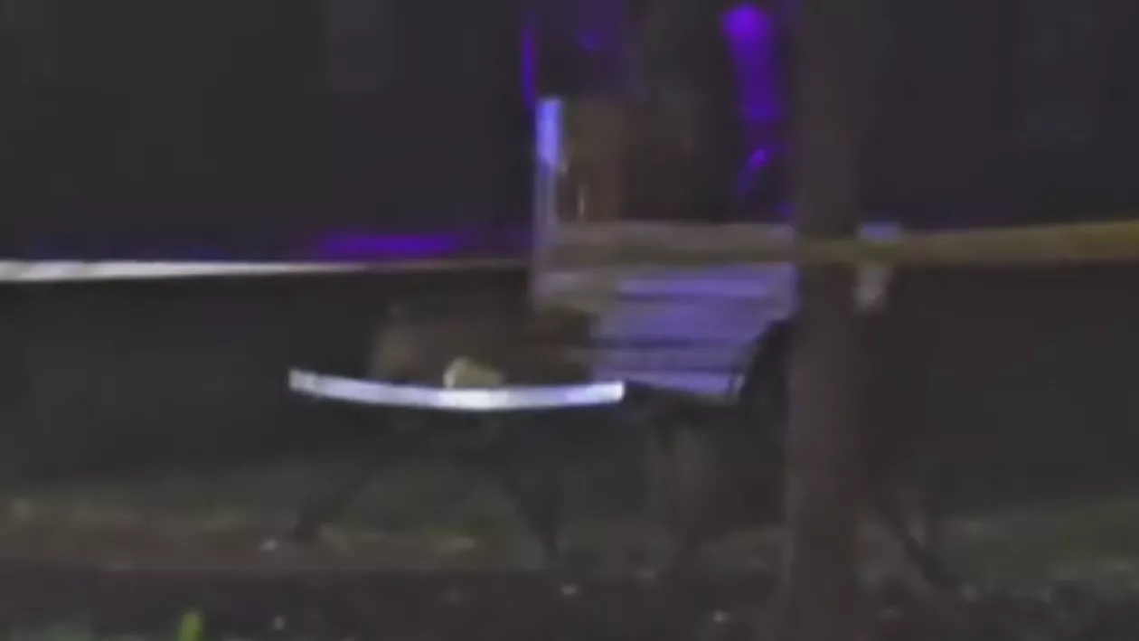 Un colet suspect a fost găsit în fața sediului PSD de pe bulevardul Kiseleff. Circulația a fost oprită atât pentru șoferi, cât și pentru pietoni (VIDEO)