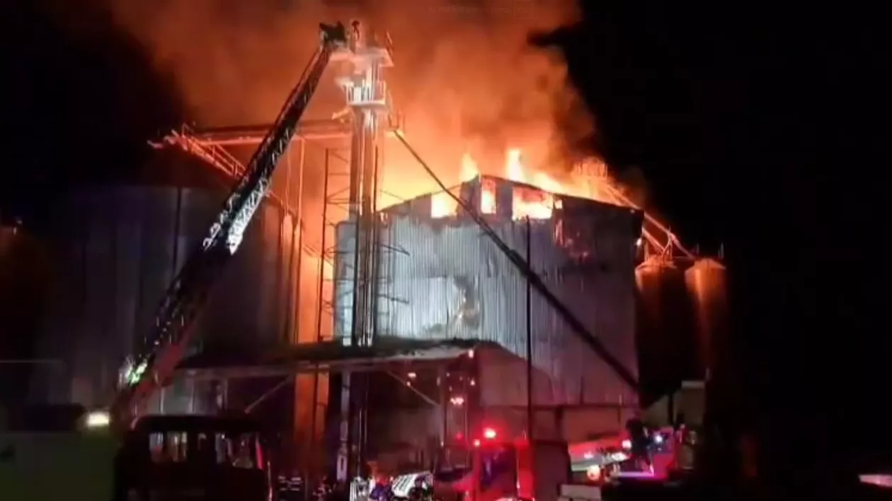 Vaslui: Incendiu puternic la o hală pentru depozitarea furajelor (VIDEO)