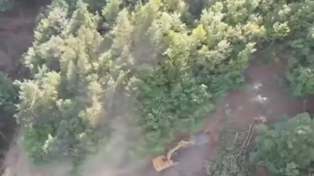 CNAIR: Lucrările de defrişare pe Valea Oltului au depăşit 23 % din suprafaţa de pădure aflată în zona critică (VIDEO)