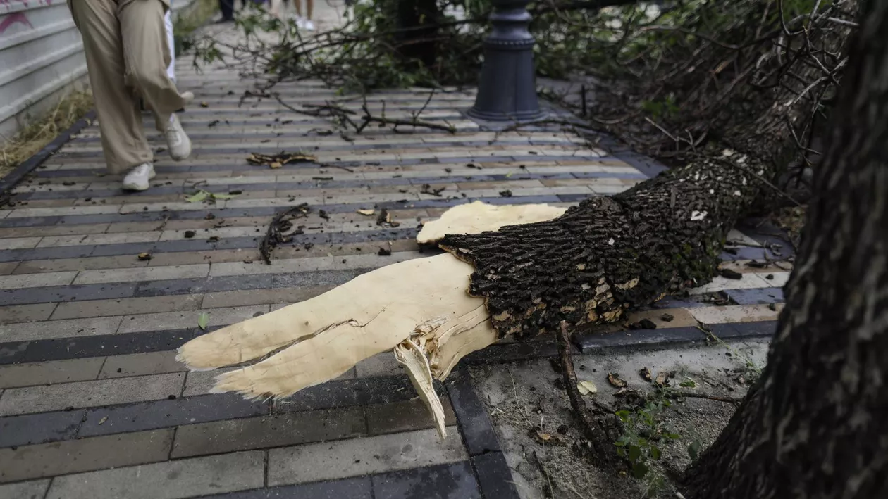 A fost prăpăd în mai multe zone din București. ANM a emis o avertizare meteo imediată Cod galben de averse, grindină, rafale de vânt și descărcări electrice (GALERIE FOTO)