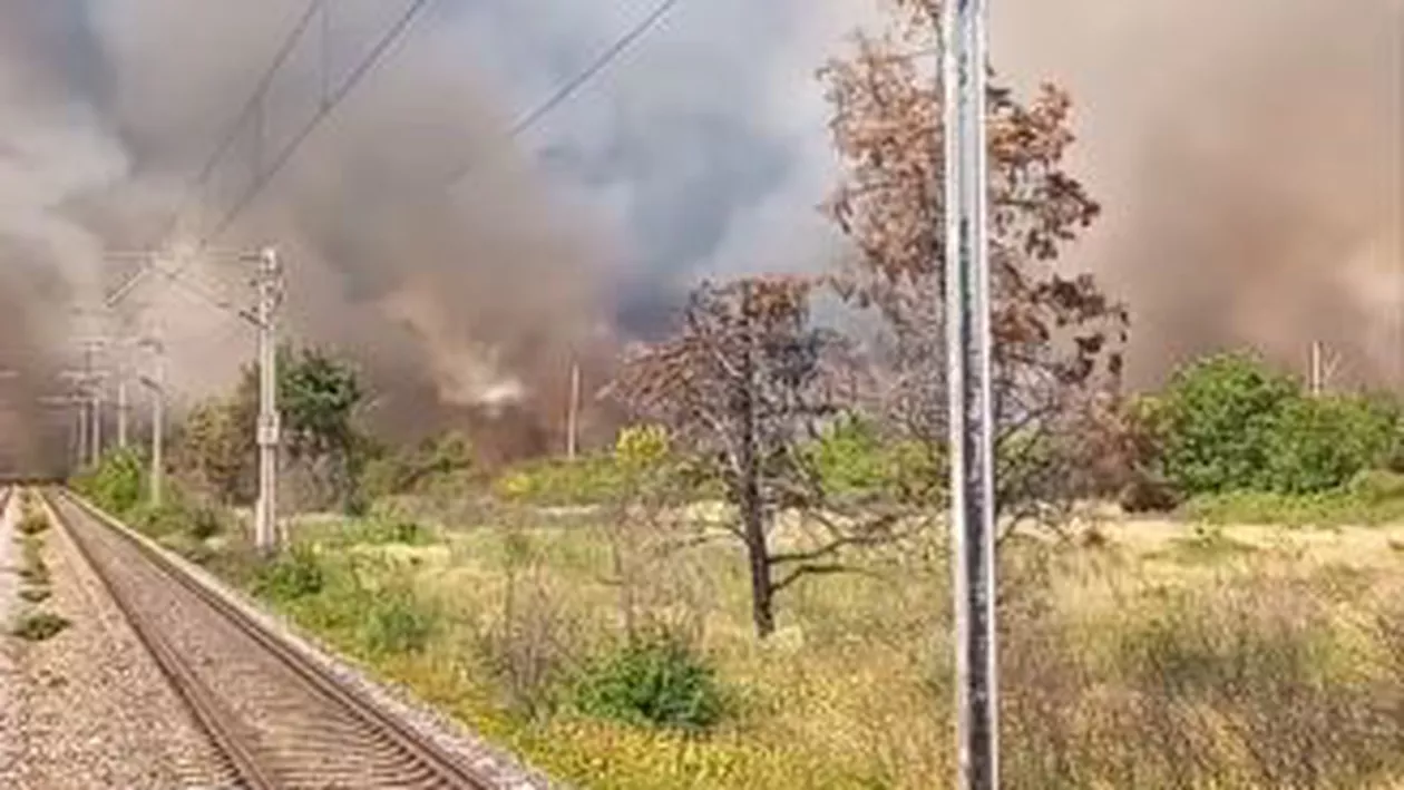 Incendiu masiv de vegetație la Buftea. Circulația trenurilor ar putea fi afectată (VIDEO)