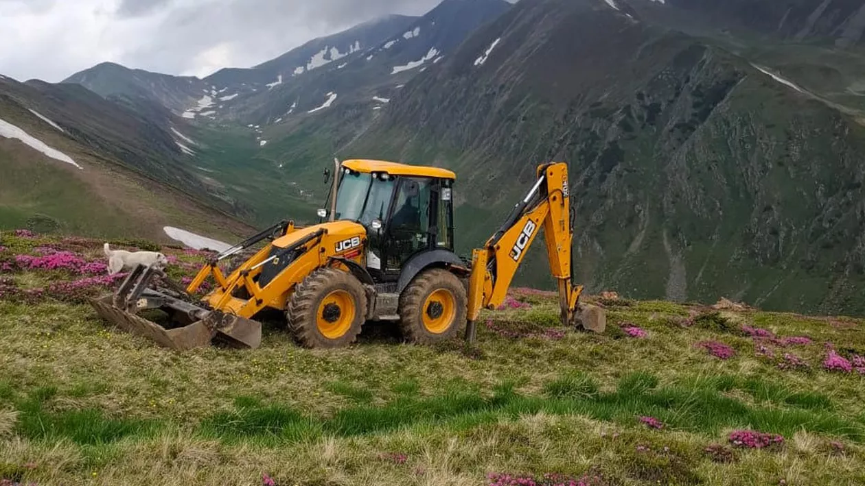 Ciobanul care și-a făcut drum la cota 2000 din Făgăraș este obligat de autorități să refacă zona distrusă. Amendă de 60.000 de lei