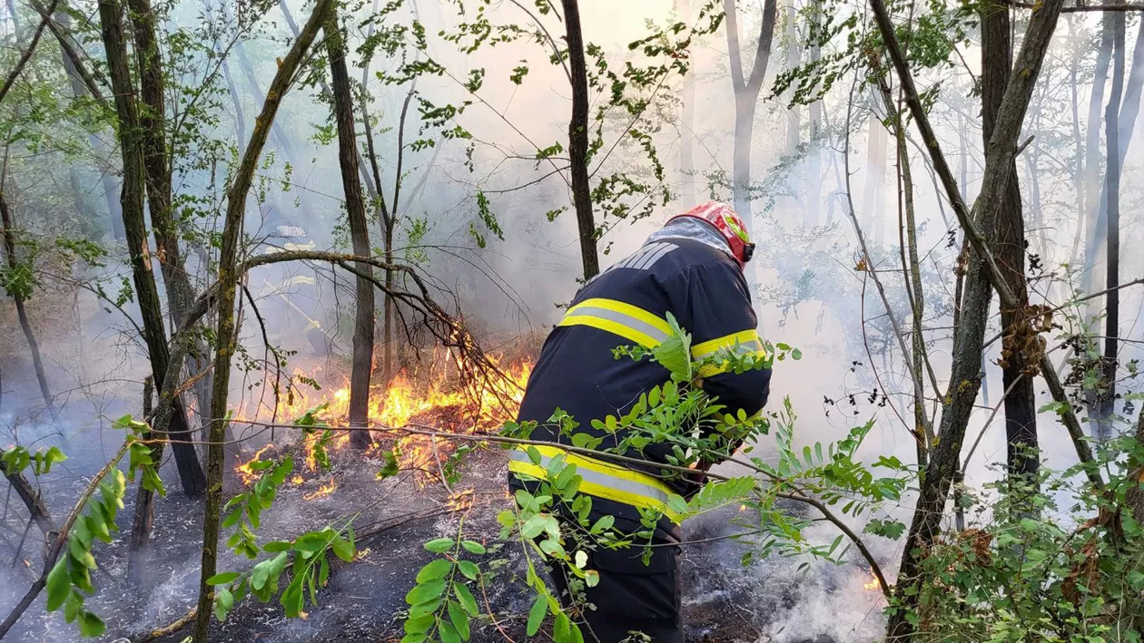 Incendiu masiv în Giurgiu: 42 de hectare, cuprinse de flăcări