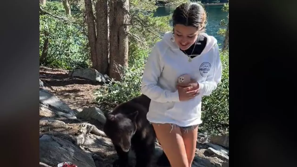 Momentul terifiant în care un urs apucă de un picior o adolescentă în timp ce se afla pe munte (VIDEO)