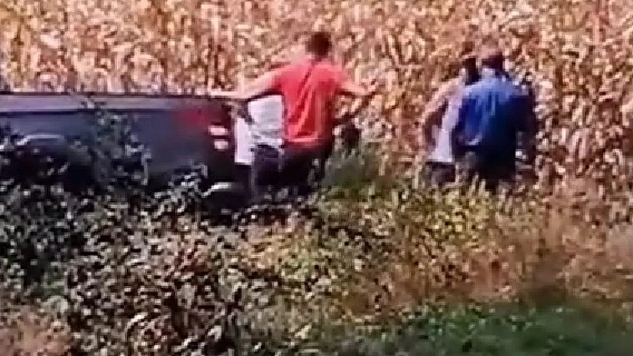 Fermier bătut cu o bâtă de viceprimarul unei comune din Botoșani. Scene incredibile pe un teren agricol din Copălău (VIDEO)