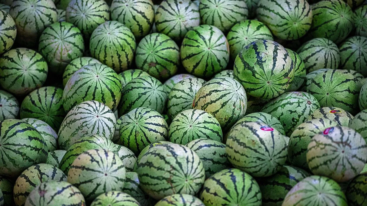 Nutriționistul Cristian Mărgărit, după avertismentul chef-ului Adi Hădean despre pepeni: Nitrații din legume și fructe nu sunt periculoși, ci au efecte benefice (VIDEO)