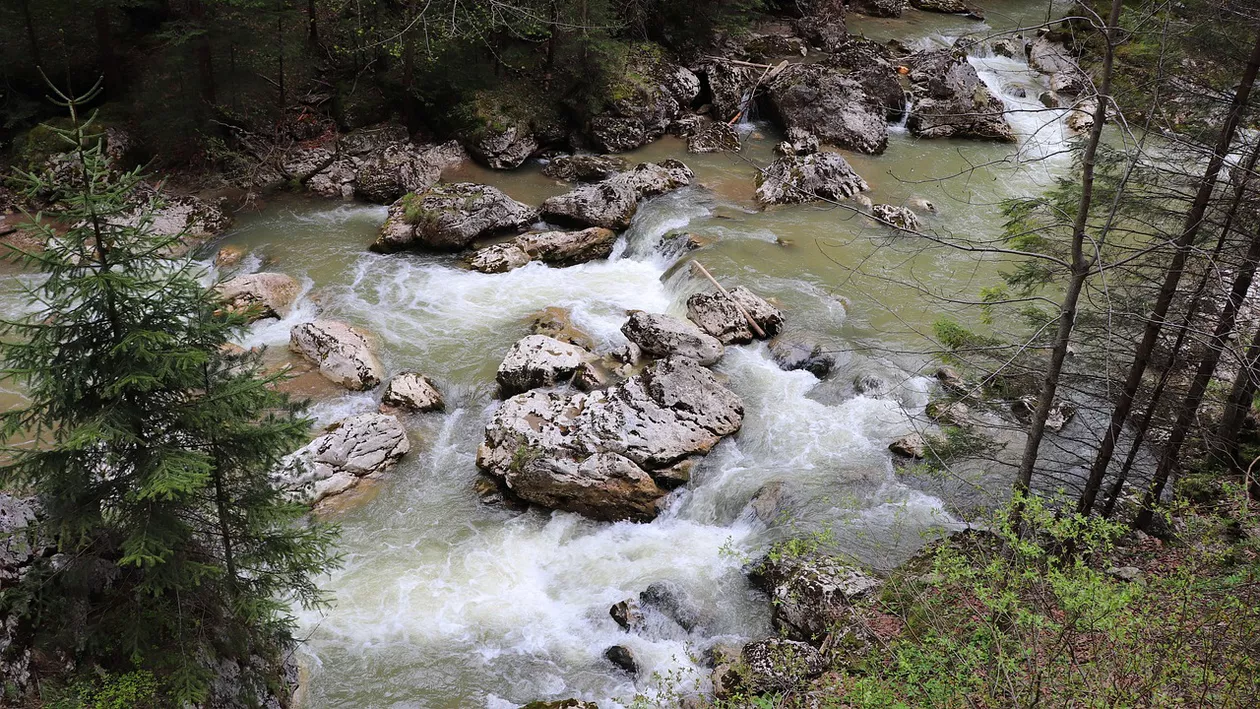 Poluare pe râul Bicaz: Mai mulţi peşti plutesc pe luciul apei. Autoritățile au transmis mesaj Ro Alert