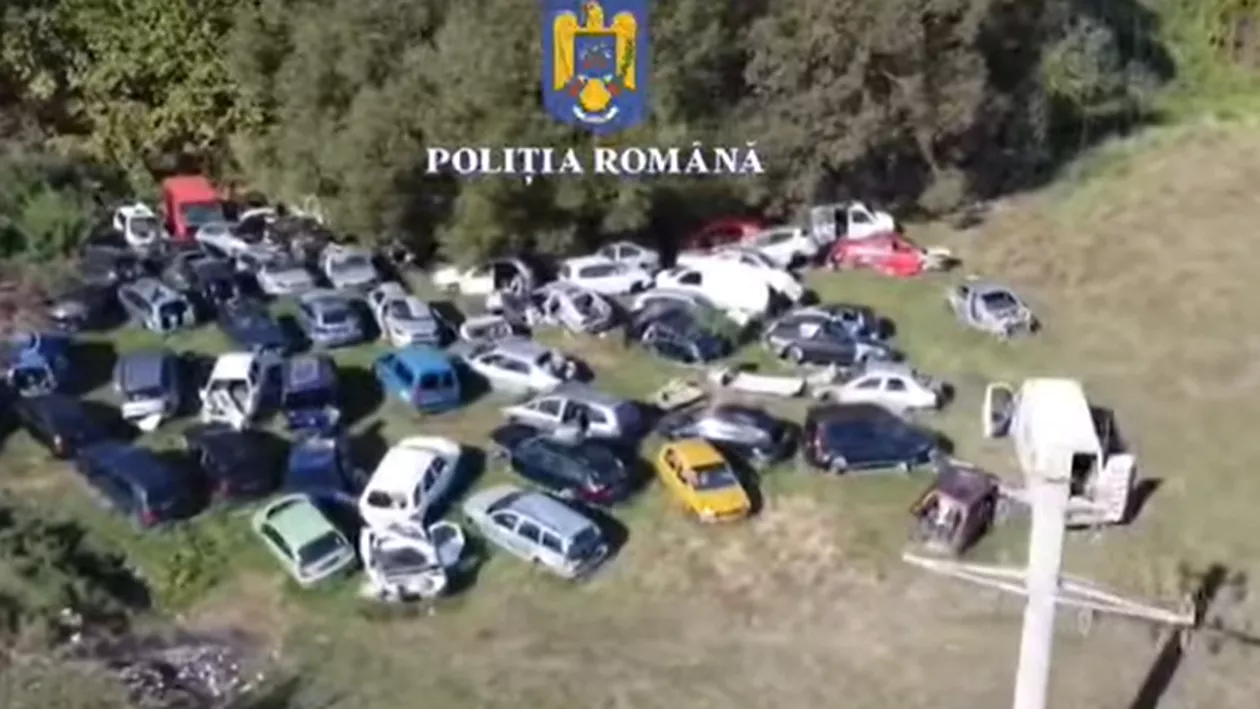 Dezmbembrări ilegale de mașini în Brașov. Zeci de mașini scoase din uz, găsite pe un câmp (VIDEO)
