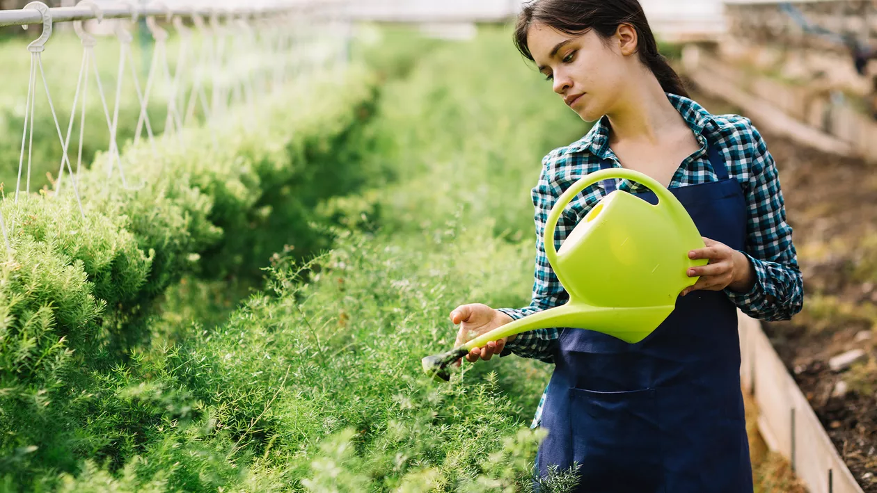 Ce opțiuni ai pentru dezvoltarea fermei