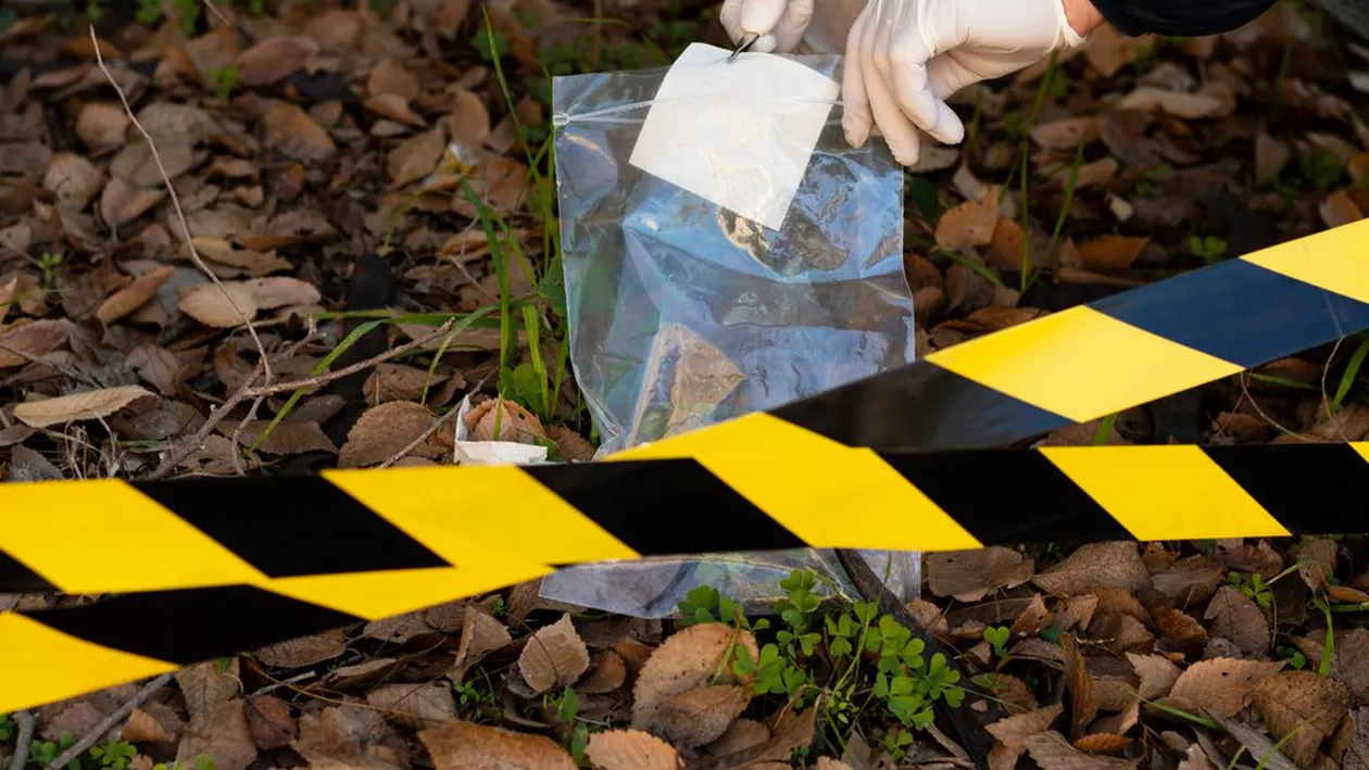 Expediție cu sfârșit tragic. Doi bărbați au murit de Crăciun, după ce s-au aventurat în pădure, în căutarea unui personaj mitic