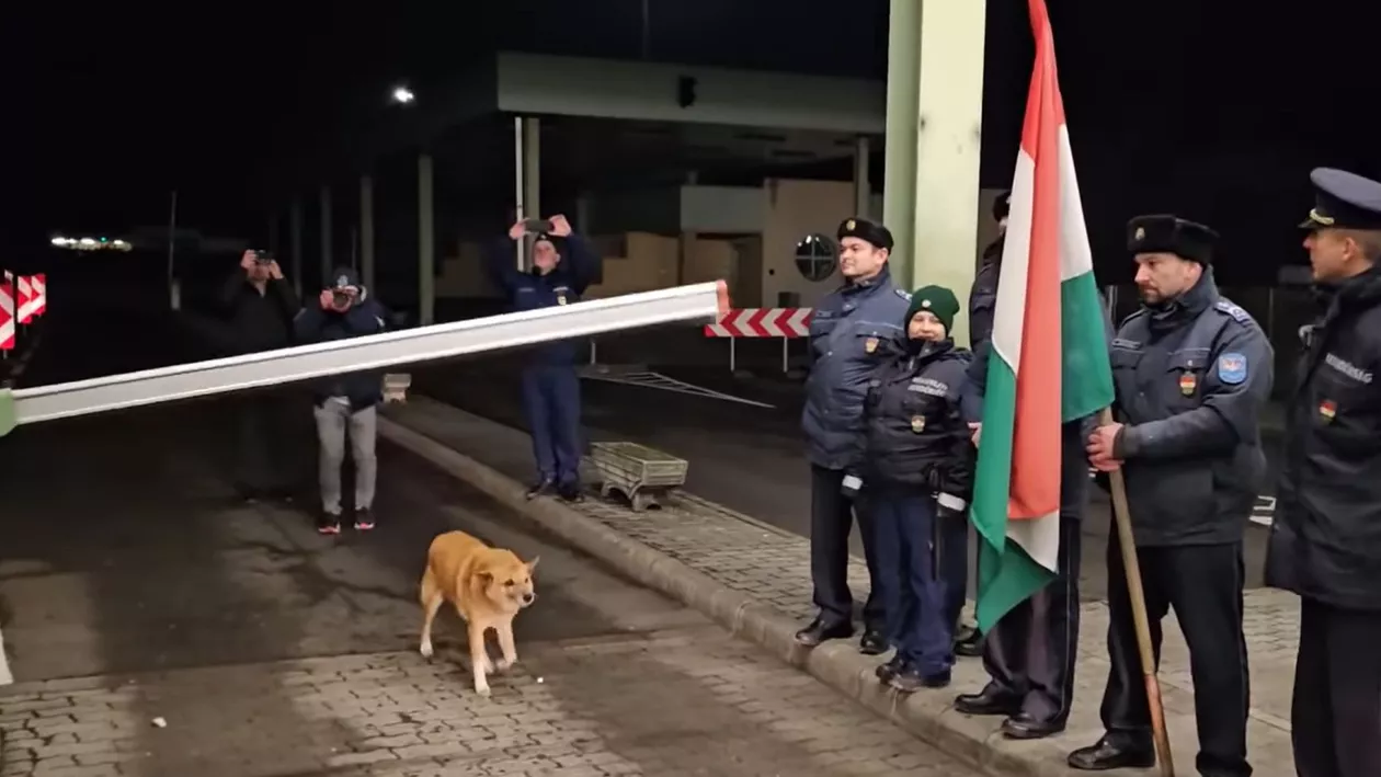 Un cățel, primul care a intrat în Schengen prin Vama Petea, în aplauzele polițiștilor de frontieră (VIDEO)
