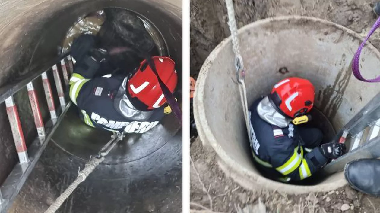 Misiune inedită a pompierilor: Au salvat o poneiță gestantă, căzută într-o fântână adâncă de patru metri (FOTO)