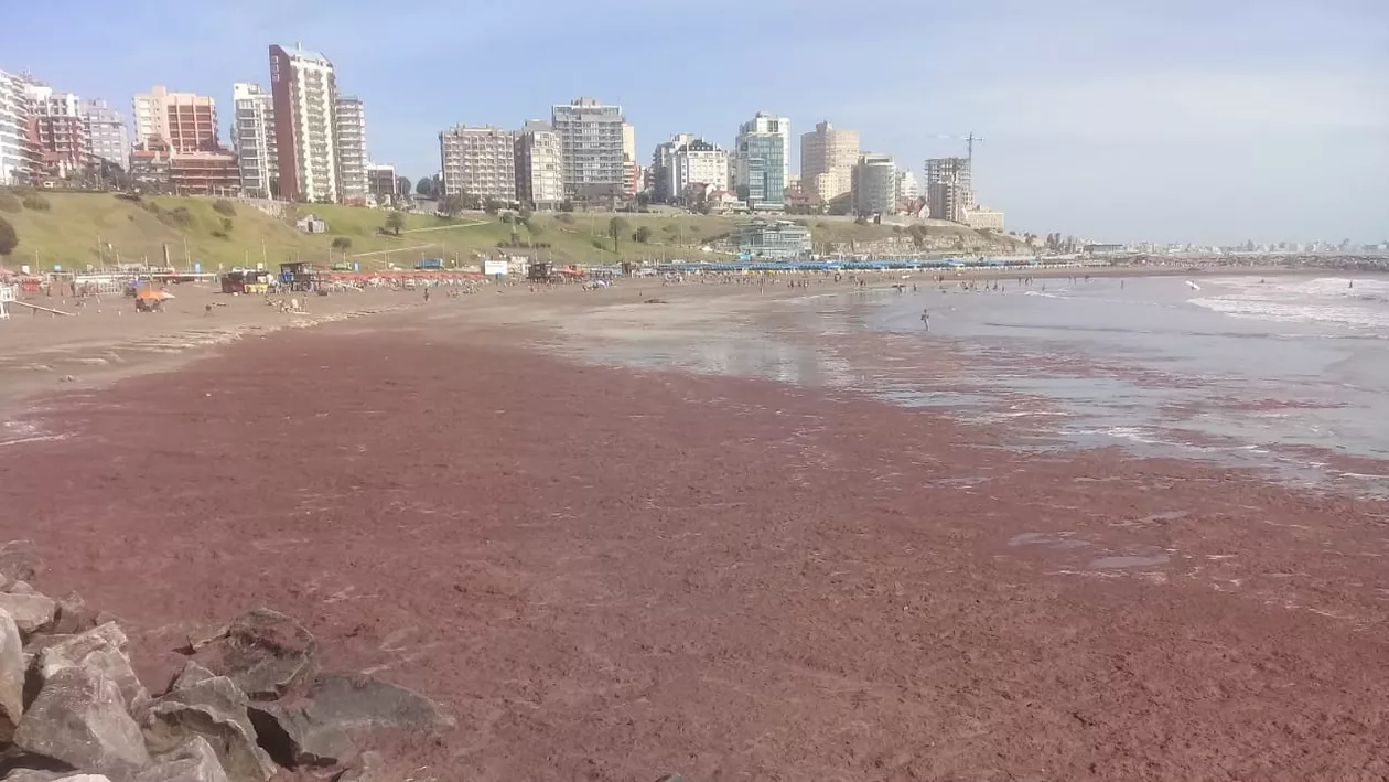 Fenomen spectaculos în Argentina. Plajele de la Oceanul Atlantic s-au înroșit