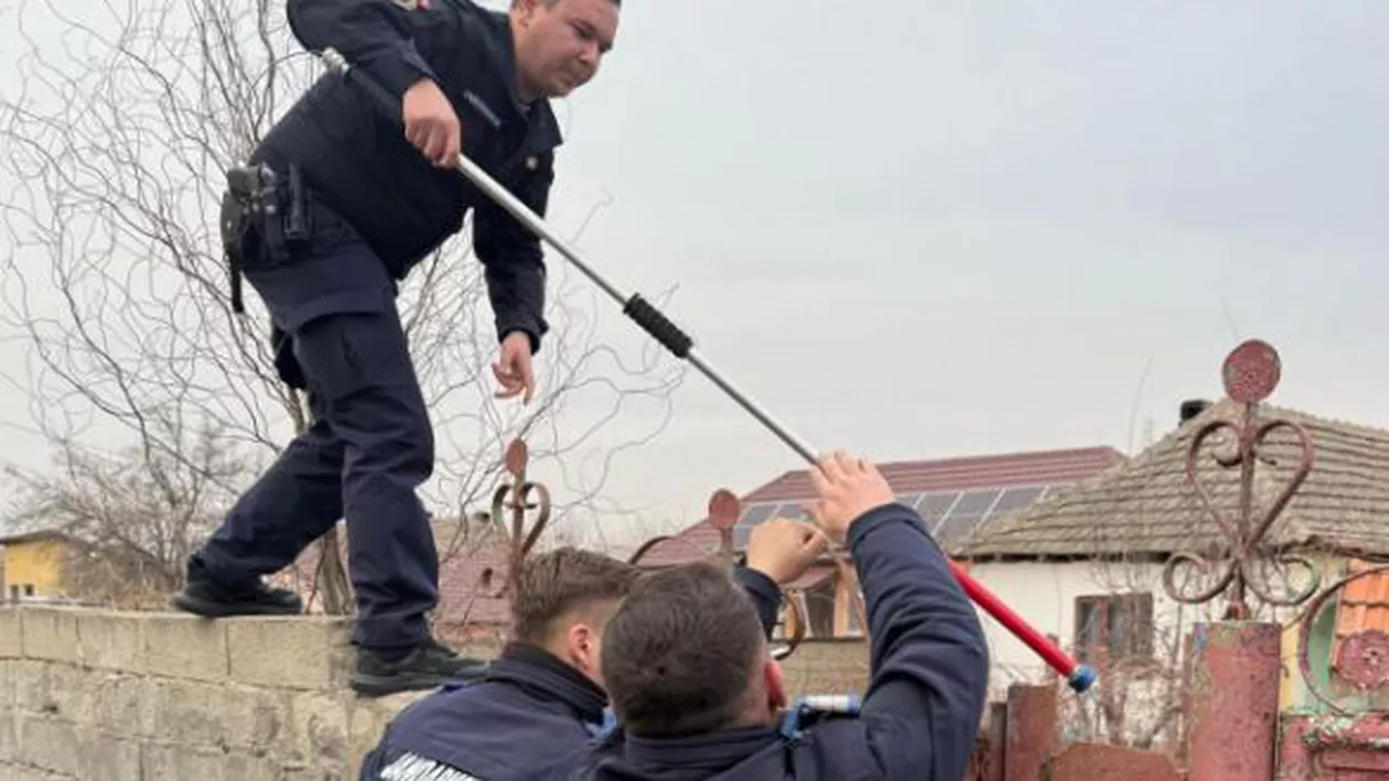 Mehedinți: Un bărbat s-a închis în casă de frica propriului câine. A stat așa ore bune, până au intervenit jandarmii (FOTO)