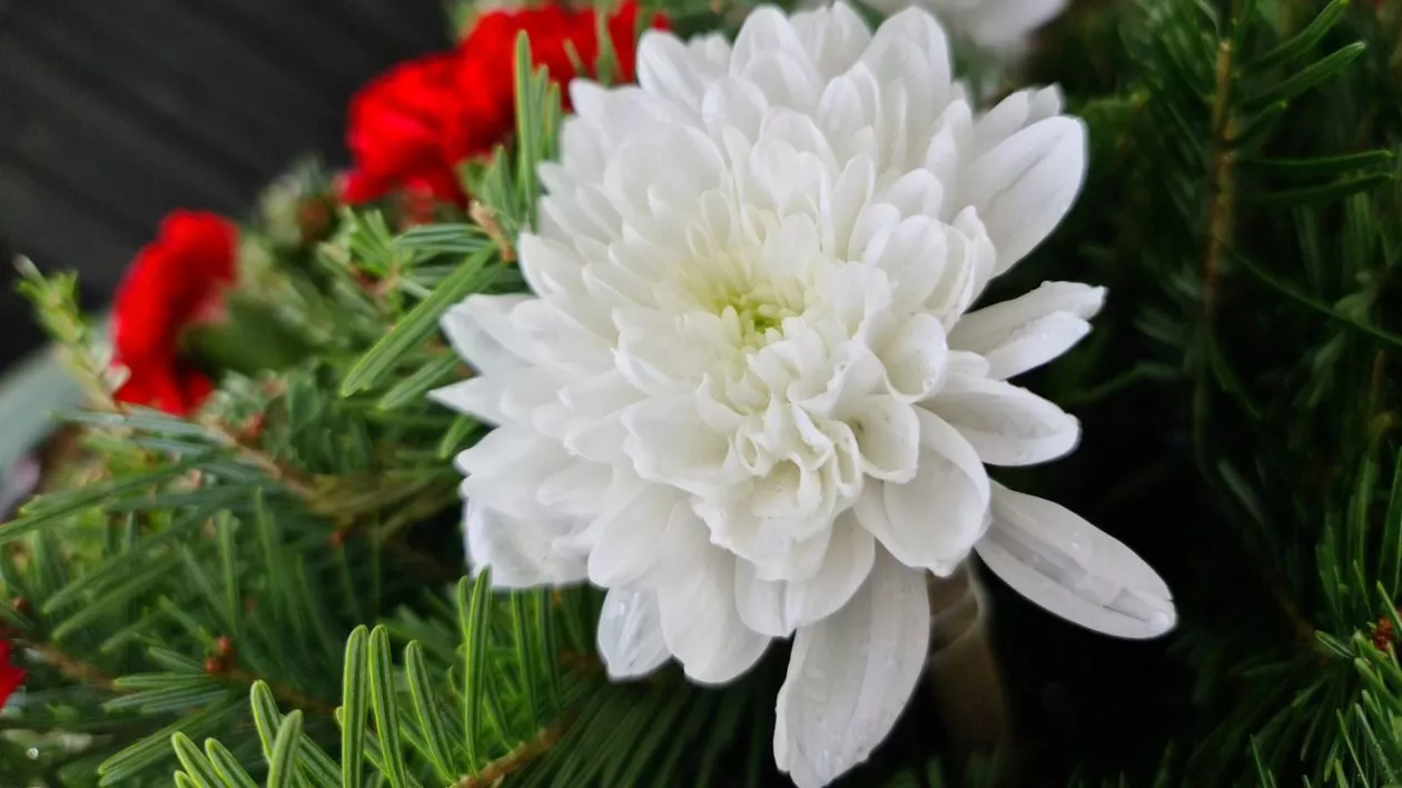 Succesiunea și testamentul pe înțelesul tuturor