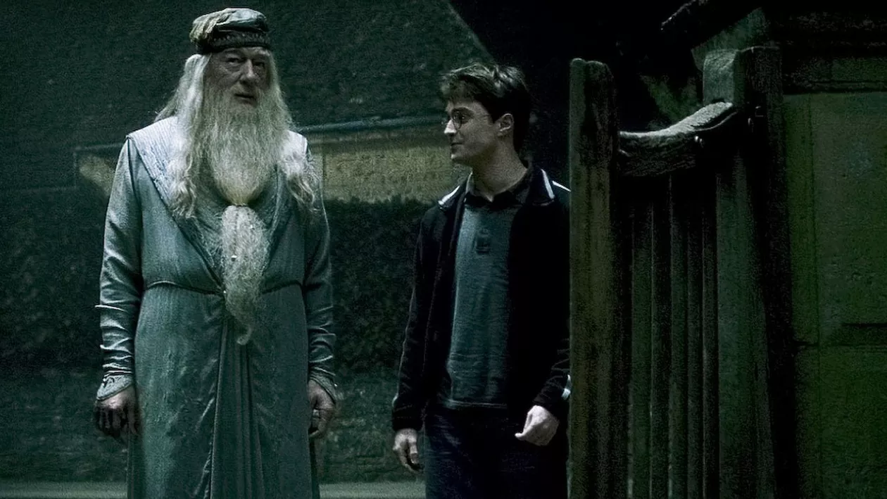 Preferințele politice ale lui Harry Potter. Cu cine ar vota tânărul vrăjitor (studiu)