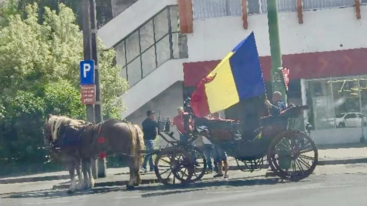 Poliția a amendat un român care circula în trăsură, fluturând drapelul tricolor