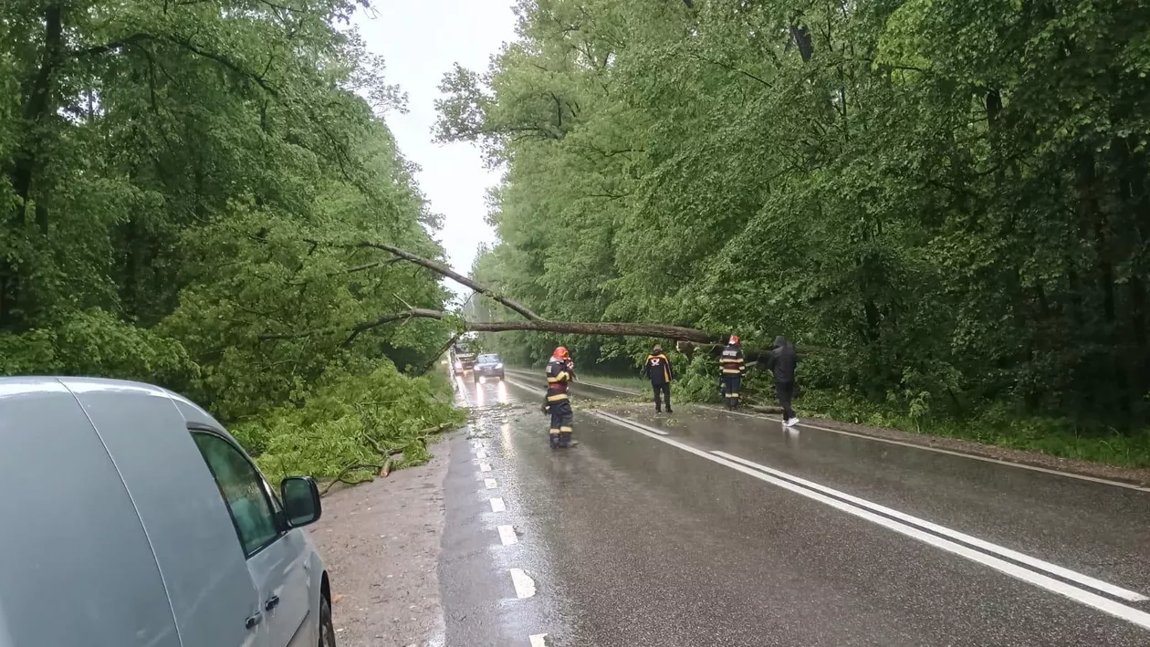 Ploile abundente au blocat trei drumuri naționale. Lucrătorii IGSU a intervenit în 16 județe