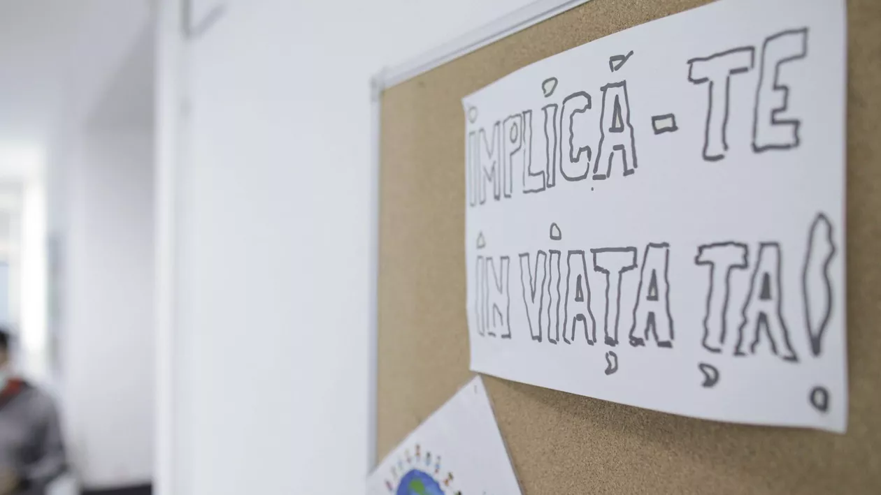 Diaspora votează. Cum își vede țara Alexandru, un tânăr stabilit în Austria: În România aveam senzația că sunt furat / E foarte mult despre clasa politică, dar și despre societate. Peștele de la cap se împute, dar se curăță de la coadă