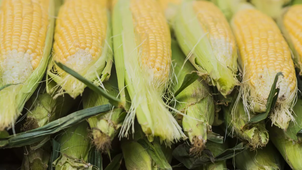 Prețuri fierbinți în vara lui 2025: porumbul dulce e mai scump ca niciodată