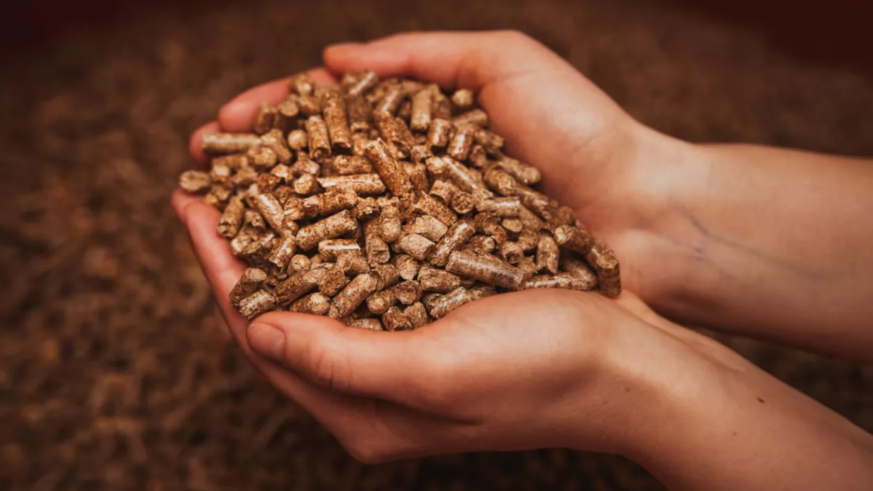 Prețul peleților: de ce merită să compari înainte să cumperi