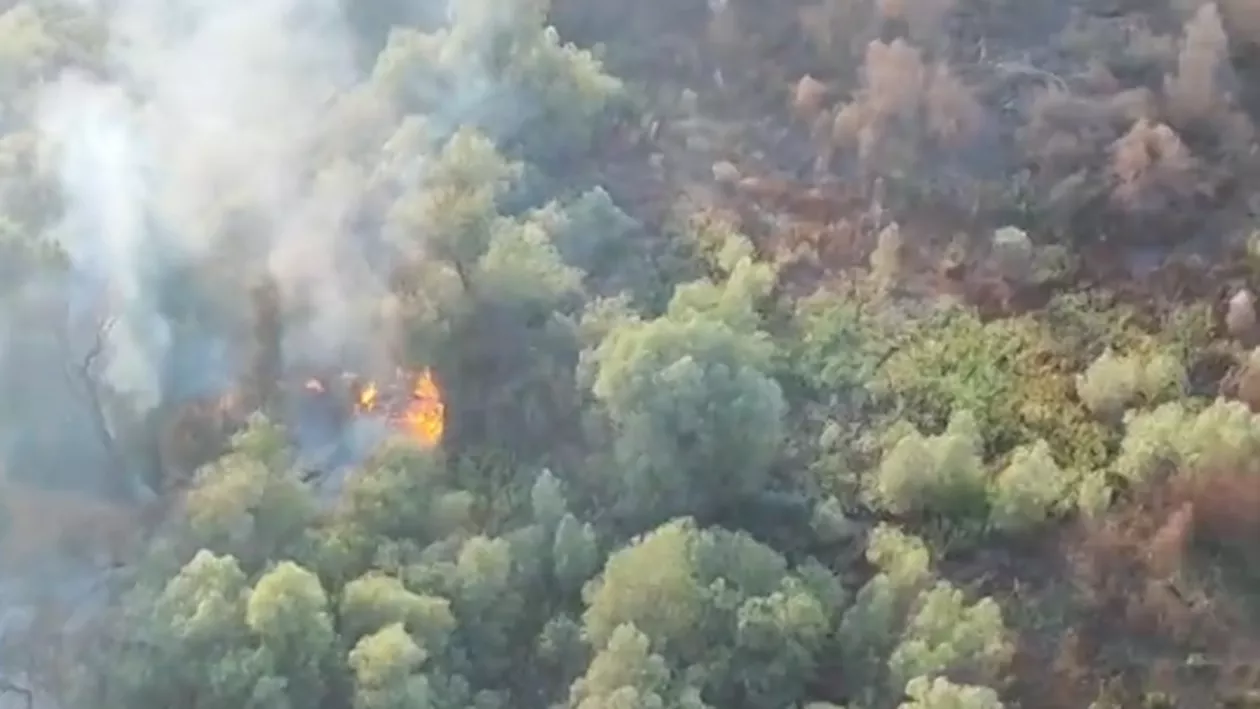 Flăcările din Delta Dunării au impus imobilizarea unui al treilea elicopter Black Hawk. Intervenția aeriană devine singura soluție în fața flăcărilor (VIDEO)