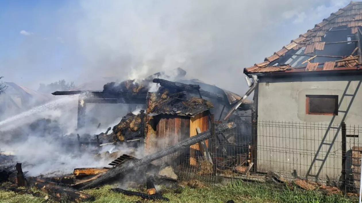 Incendiu de amploare, în Mureș. 49 de animale au ars