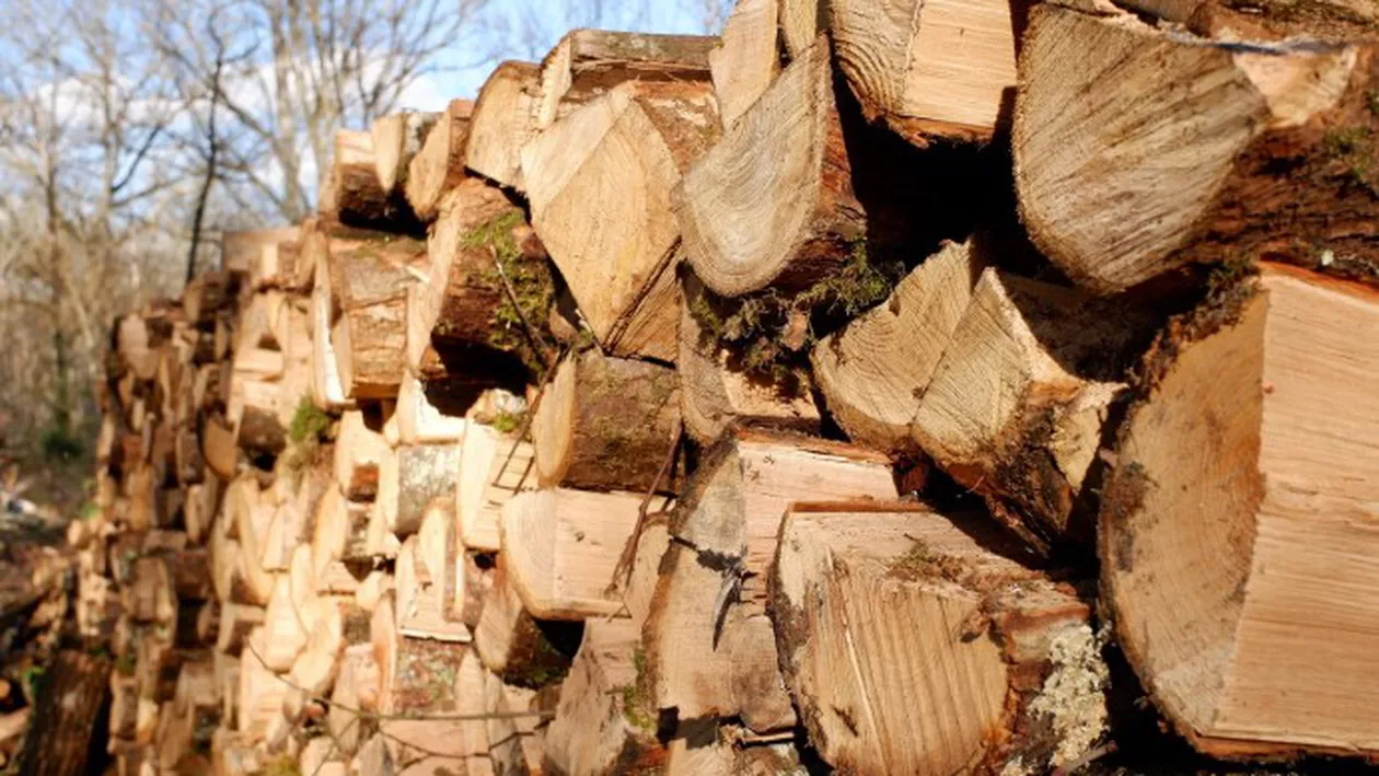 Îți încălzești casa cu lemne? Află cât vei scoate din buzunar în această iarnă