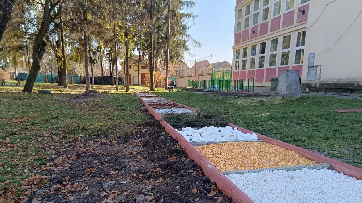 O școală din România uimește printr-un parc ingenios dedicat mersului desculț: „Odată ce te-ai obișnuit cu senzația, nu o să simți frigul” (FOTO)