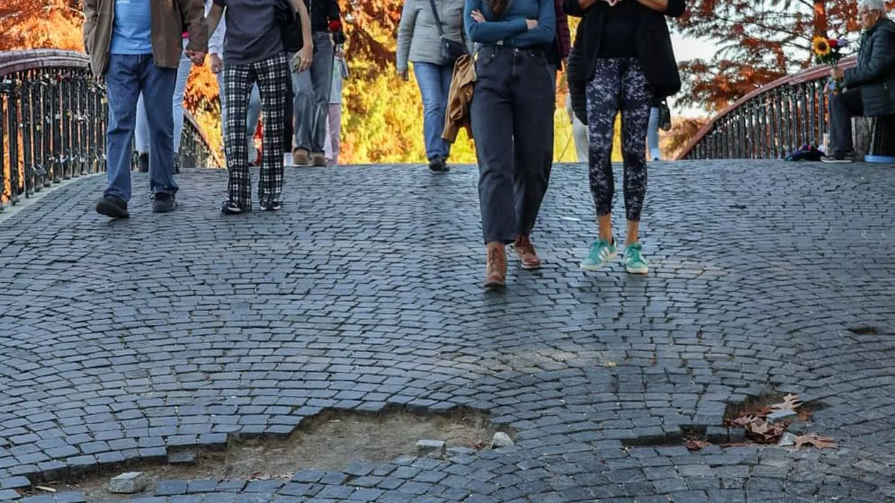 Ciprian Ciucu: „Parcul Herăstrău merită mai mult!”