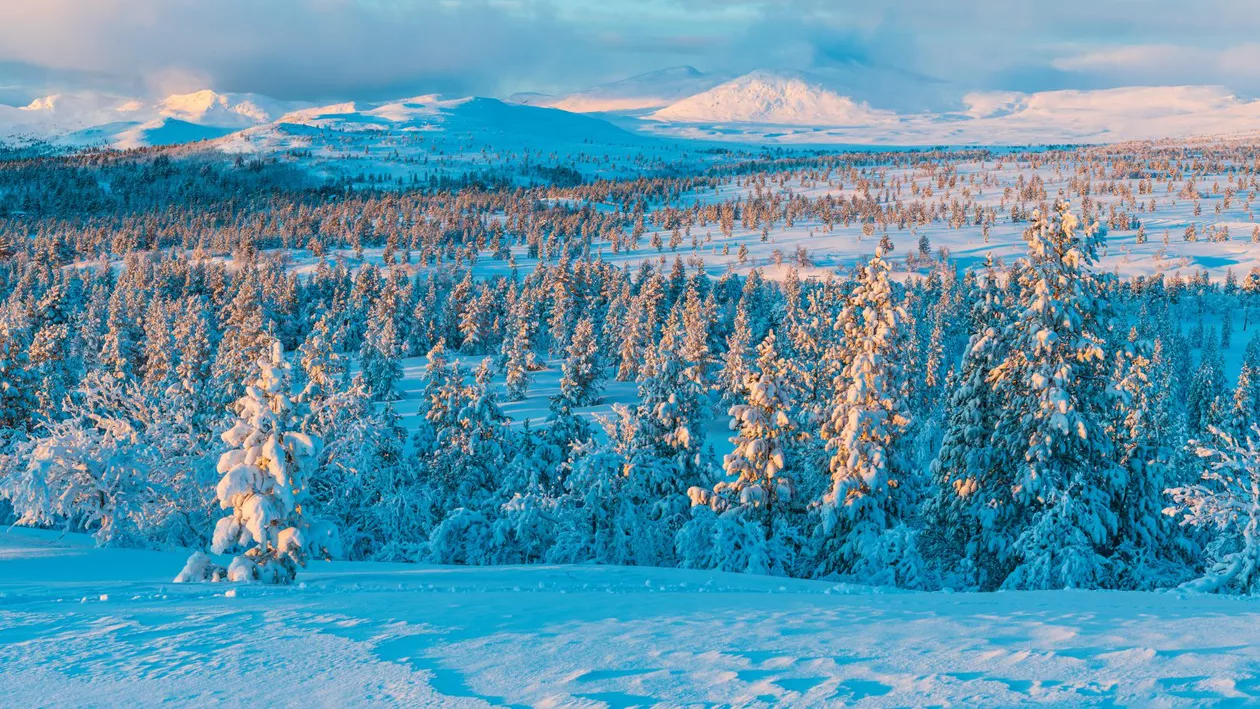 Vortexul polar, sub presiune înainte de februarie, cu posibile efecte asupra Europei. Ce schimbări meteo sunt așteptate
