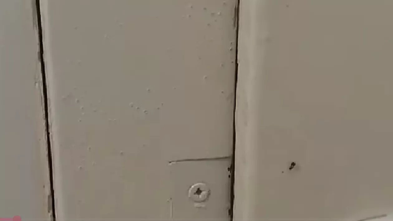 Imagini cu insecte într-un spital din Sebeș, făcute publice de un pacient. Explicația managerului unității: „Nu este aşa” (VIDEO)