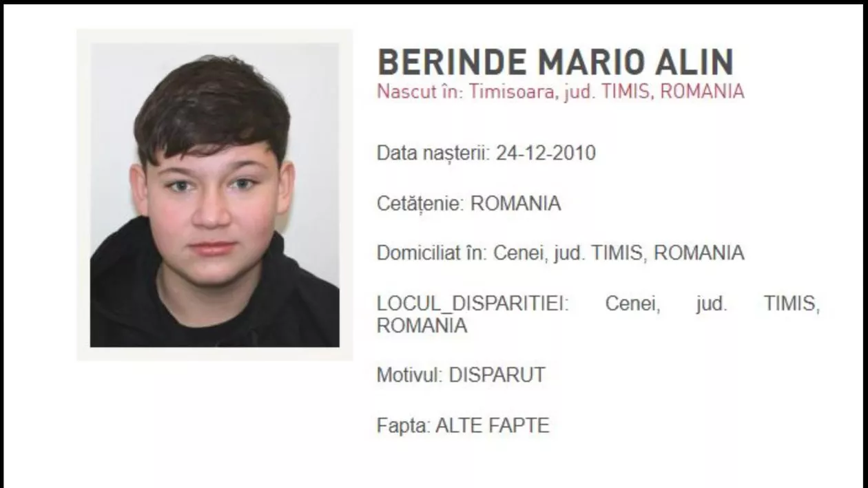 Minorii din Timiș, arestați preventiv după uciderea și incendierea băiatului de 15 ani. Ce au anunțat autoritățile