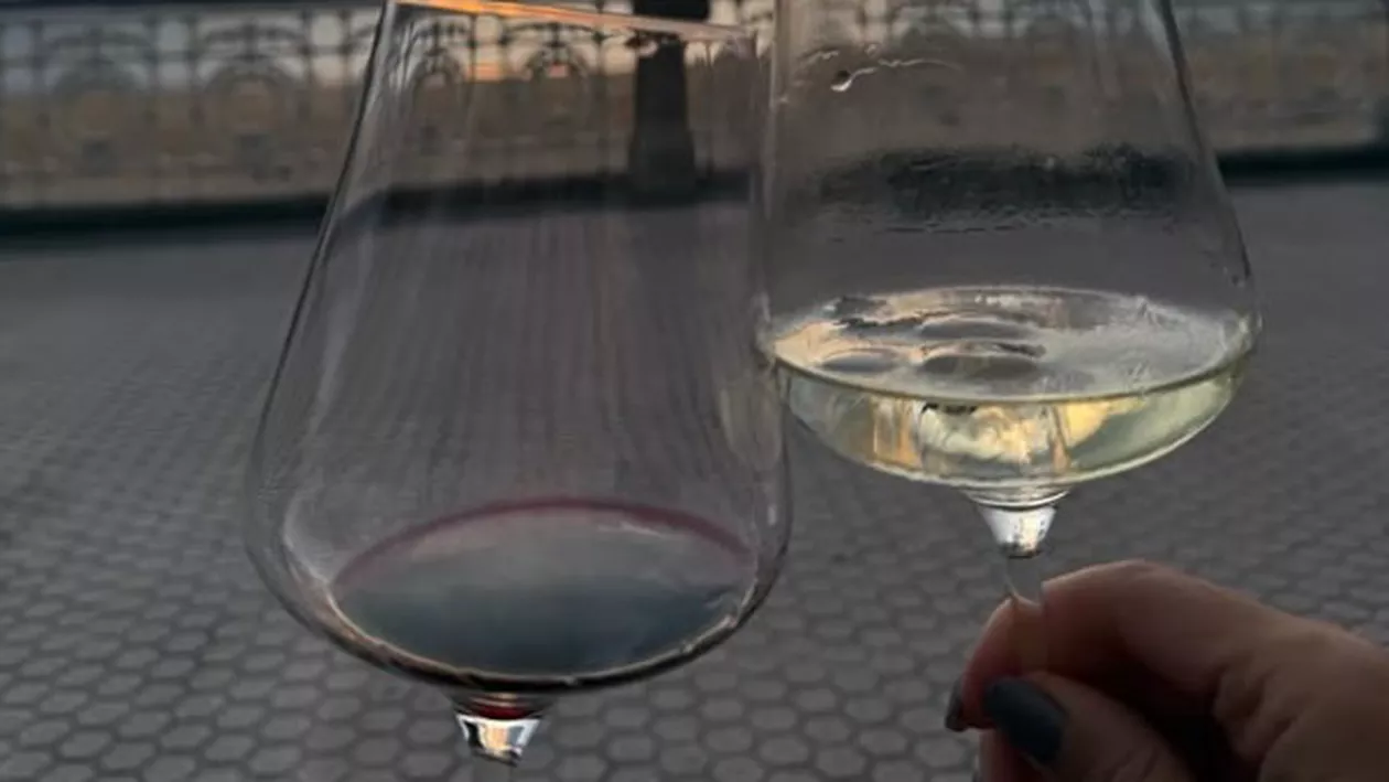 Limita dintre relaxare și exces. Ce spune Mihaela Bilic despre alcool: „Beția constă într-o grămadă de contradicții, pentru că spune DA la orice”