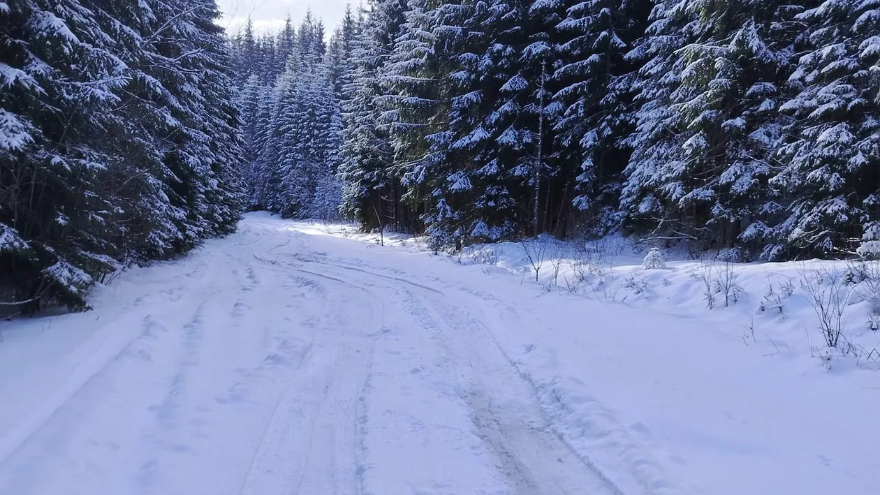 Zăpadă de 2 metri în acest loc din România. Cum se circulă și ce avertismente au fost emise