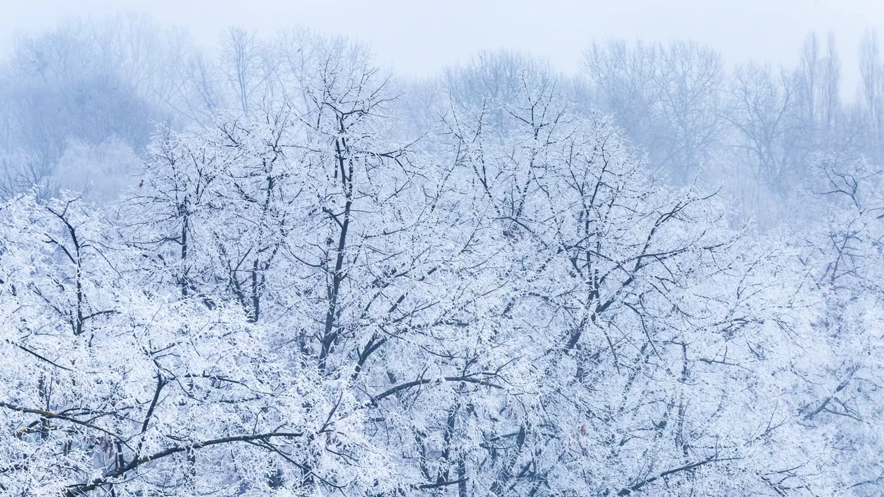 Ger extrem în România: ANM a emis Cod galben. Ce temperaturi vor urma