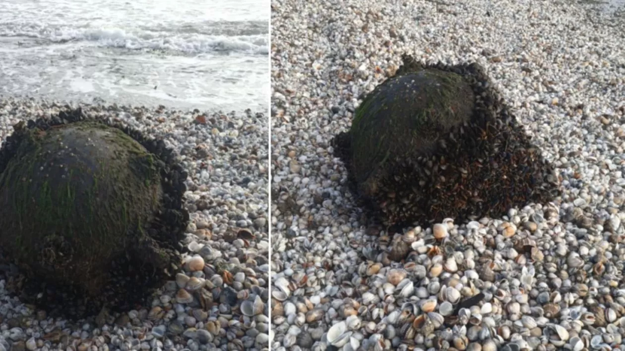 Alertă militară pe litoralul românesc, după descoperirea unei mine marine. Ce riscuri semnalează autoritățile la Marea Neagră (FOTO)