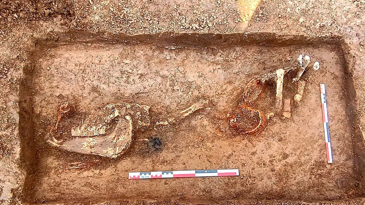 Descoperire arheologică rară pe traseul autostrăzii A8 din România. Ce au găsit arheologii lângă Târgu-Neamț (FOTO)