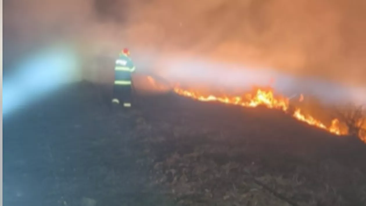 Bihor: Un bărbat de 69 de ani găsit carbonizat și peste 120 de hectare distruse de incendiile de vegetație