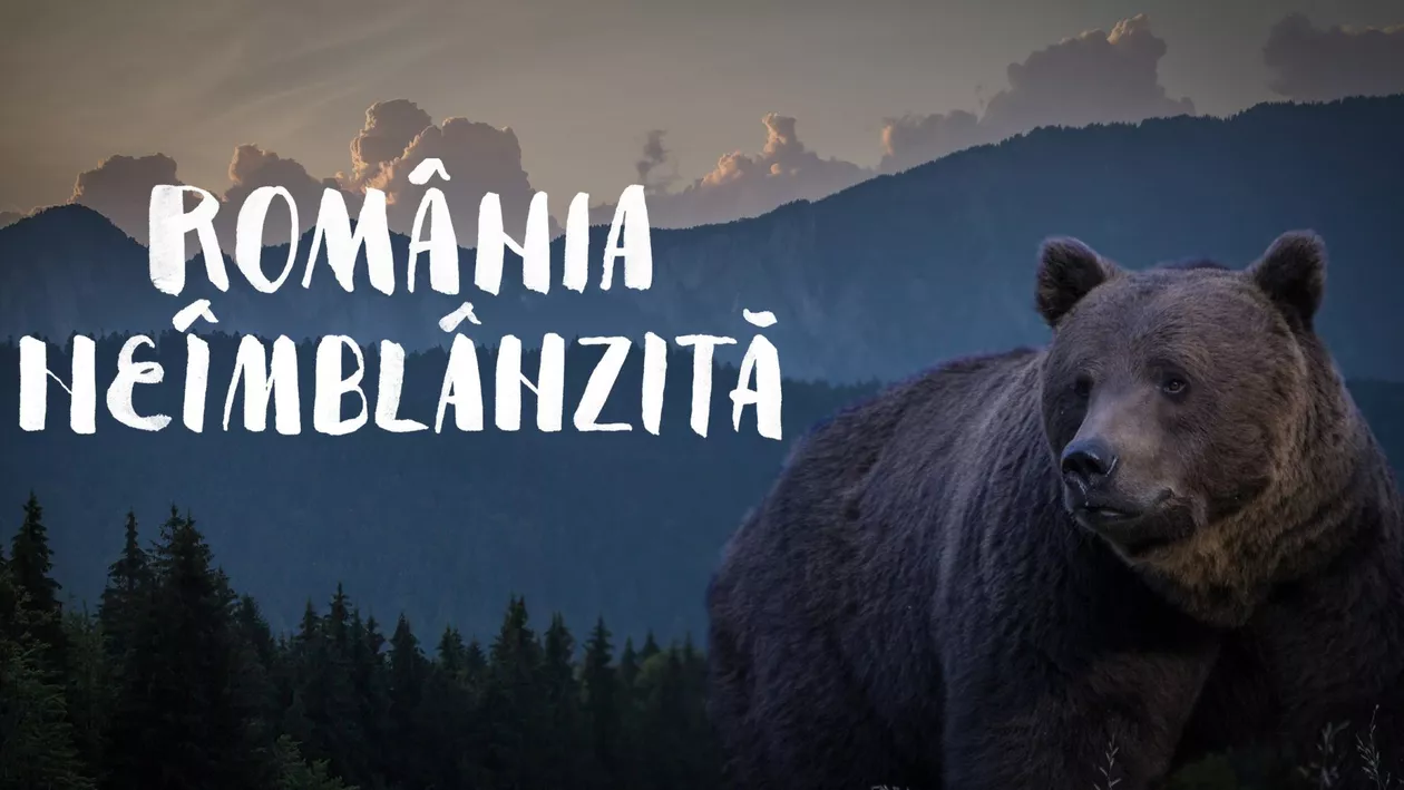 România neîmblânzită, documentarul care a impresionat publicul, difuzat pe B1 TV. Imagini spectaculoase din România (VIDEO)