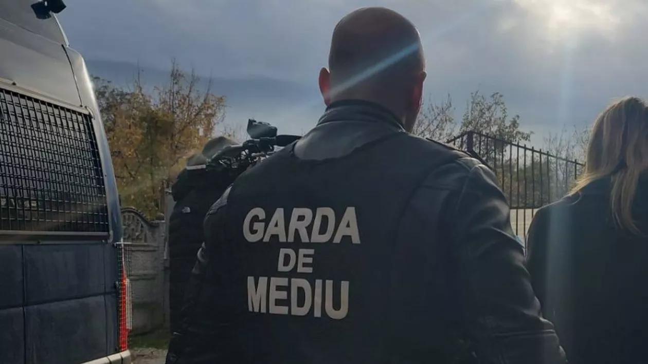 Garda de Mediu, explicații despre poluarea din București. Rezultatul surprinzător al verificărilor din teren (FOTO)