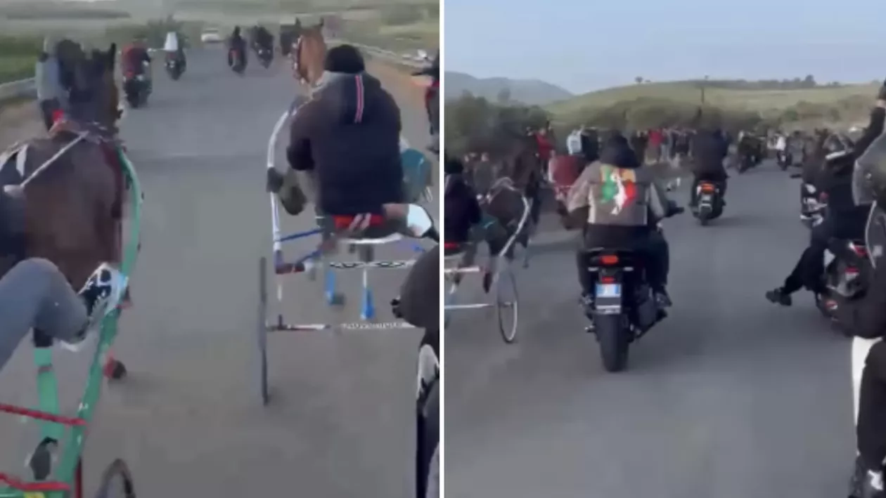 Scandal major în Italia, după apariția unor imagini cu o cursă ilegală de cai. Cum leagă anchetatorii evenimentul de mafie (VIDEO)