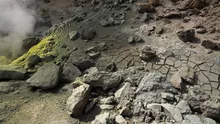 Aproape 800 de bebeluși morți, găsiți la fosa septică a unei case conduse de o călugăriță. Despre ce este vorba