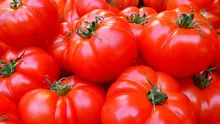 Primele roșii românești au apărut pe tarabele piețelor mari. Cât costă un kilogram