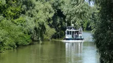 Manevre spectaculoare la malul Dunării, după ce nivelul fluviului a crescut foarte mult. Mașinile au trecut prin apă