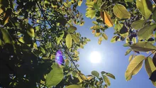 Weekend călduros cu furtuni locale, canicula revine săptămâna viitoare. Ce spune șefa ANM despre vreme