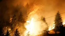 Incendii de proporții în Coreea de Sud. Mii de salvatori sunt mobilizați